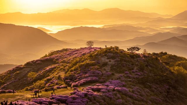 천년 고찰의 고요함과 합천호의 정취, 합천에서 즐기는 힐링과 사색의 시간