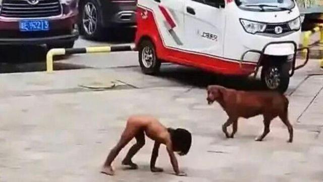 길 위에서 '야생 육아'… 고학력 부부의 반문명식 양육에 분노