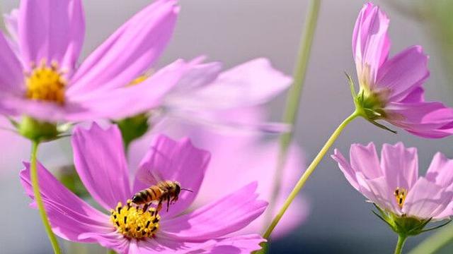 서리내리는 상강, 광주·전남 가끔 구름 많고 일교차 13도