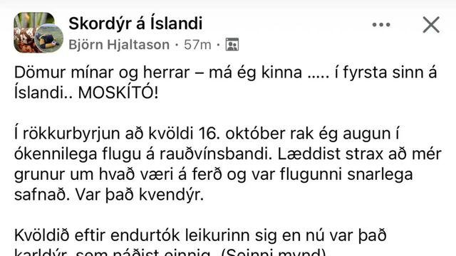 아이슬란드 초강력 추위에 진화한 모기 등장 