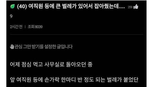 여직원 등에 벌레 붙어서 떼줬다가 큰일남