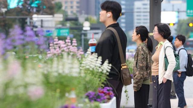 충남권 아침 짙은 안개…일교차 10도 안팎 '쌀쌀한 아침'
