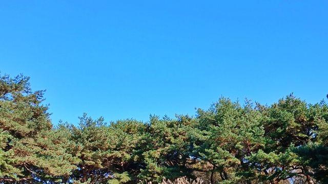 왕릉의 가을 정취 만끽하러 구리시 동구릉 ‘건원릉 능침’으로!