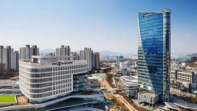 '여대생 청부살인' 허위진단서 의사, 심평원서 직위해제