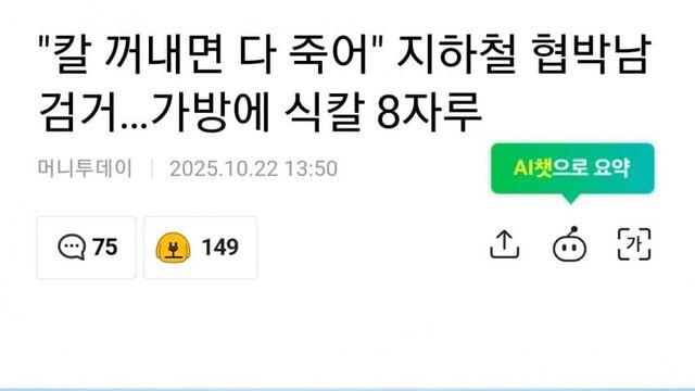 가방에 식칼 8자루... 지하철 협박남 검거