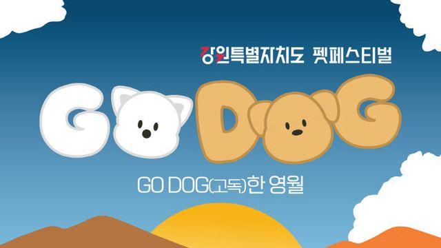 영월에서 펼쳐지는 자연 속 반려견 힐링 축제