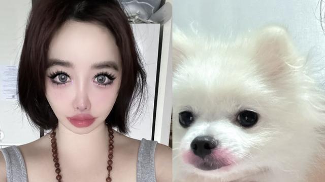 박봄, 양현석 고소장 재공개→강아지 립스틱 사진…커지는 우려