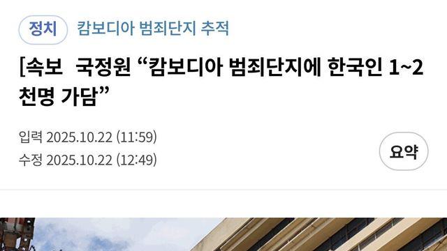 국정원 캄보디아 관련 정보 요약 