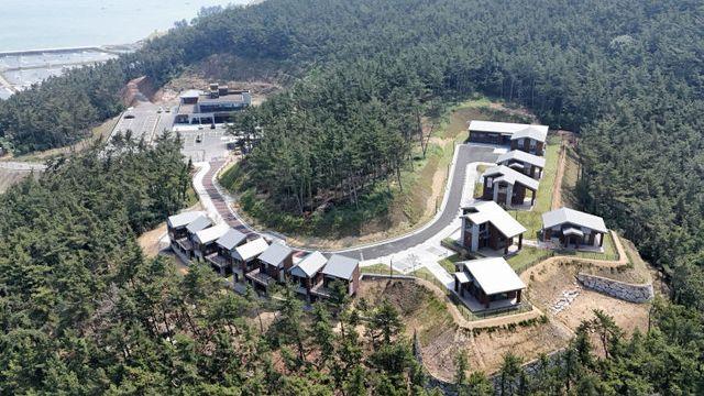 충남 원산도 자연휴양림 '무장애 나눔길 조성' 공모 최종 선정
