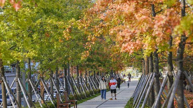 전국 대부분 지역 완연한 가을날…동해안엔 비 이어져