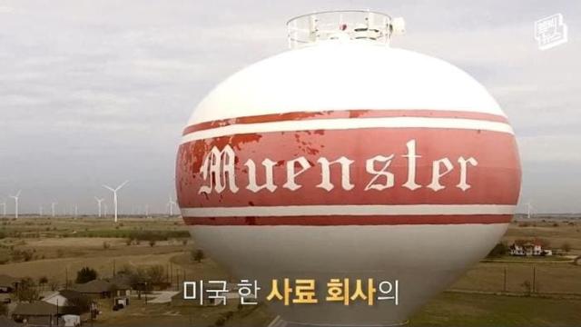 품질 보증을 위해 한달간 개사료만 먹은 CEO
