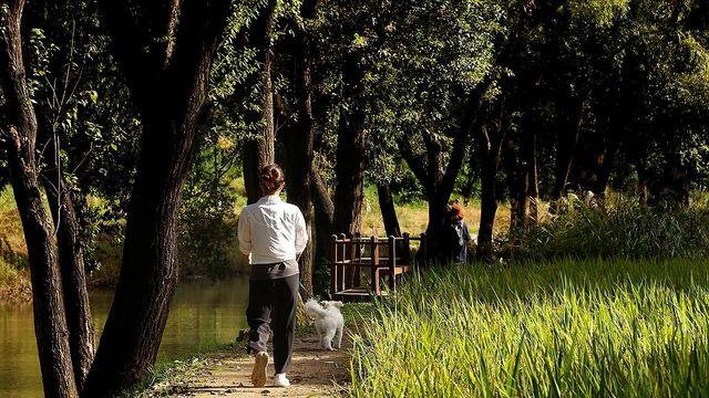 전국 대체로 맑다가 낮부터 구름 많아져…낮 최고 13∼23도
