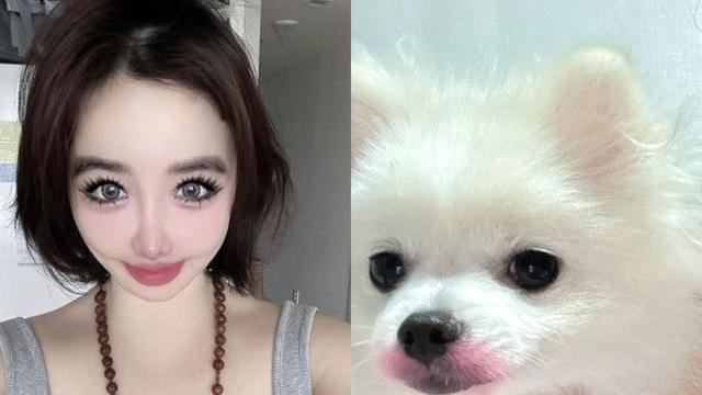 박봄, 근황 걱정... 양현석 고소 이후 반려견 립스틱 사진은 왜?