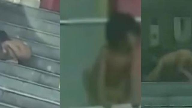 벌거벗고 기어다니는 中 3세 남아…부모는 “자연적 양육” 주장