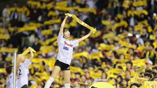 LG, 원정경기도 잠실에서 응원한다…한국시리즈 무료 개방 예고