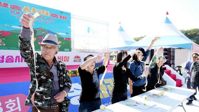 청송군, 제19회 청송 사과 축제