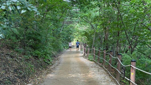 “산림휴양도시 태백, 그곳에 가면 힐링이 생활이 된다”