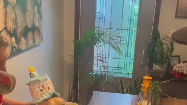 인간과동물.mp4,,