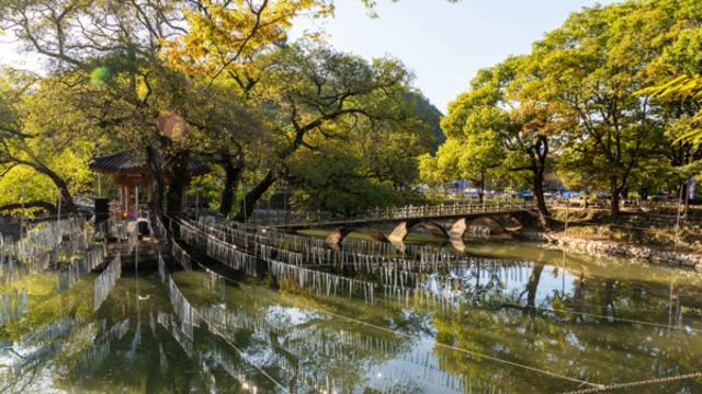 함안, 고즈넉한 정자와 드넓은 생태공원이 선사하는 평화