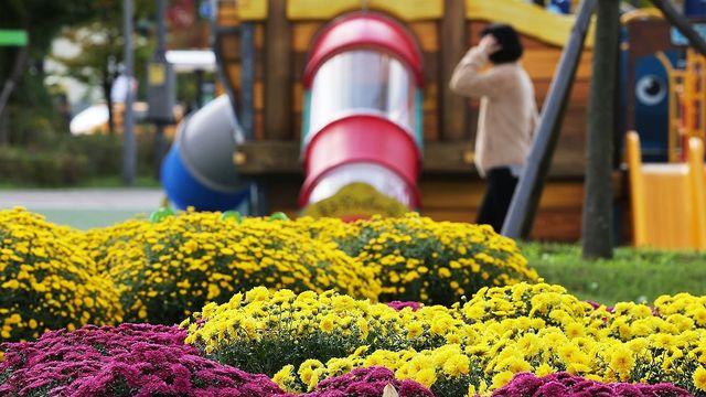 대구·경북 내륙 오전까지 짙은 안개…낮 최고기온 17∼21도