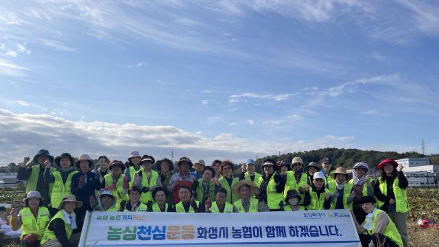 농협 화성시지부, 공동소득사업·농심천심 캠페인 실시