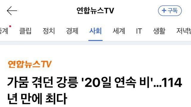 가뭄 겪던 강릉 '20일 연속 비'…114년 만에 최다