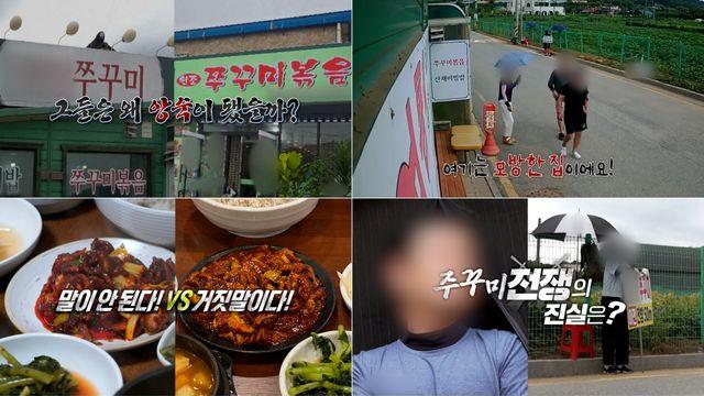 제주도 바다 물질 스타견, 다른 犬 공격? 가해 견주는 고소까지 (실탐)