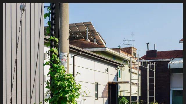 데일리 오엠삼 산책