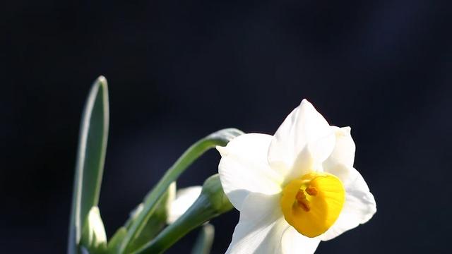 [김시행의 詩·畵·音] 33 인간은 근원적으로 고독한 존재인가.
