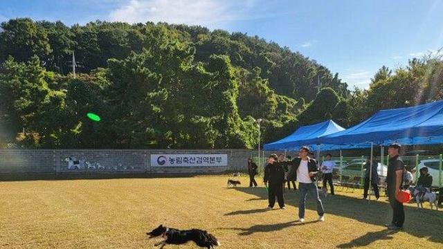 은퇴 검역탐지견·입양가족과 홈커밍데이…