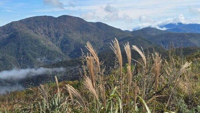 전북 아침까지 곳곳 안개…낮 19~22도 ‘가끔 구름’