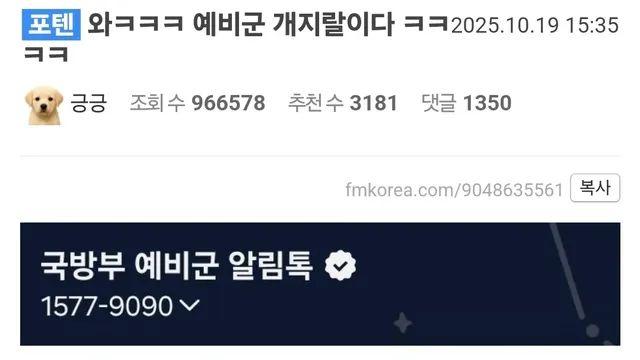 개지랄 난 예비군 그리고 후기