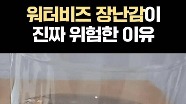 위험하다는 워터비즈 장난감