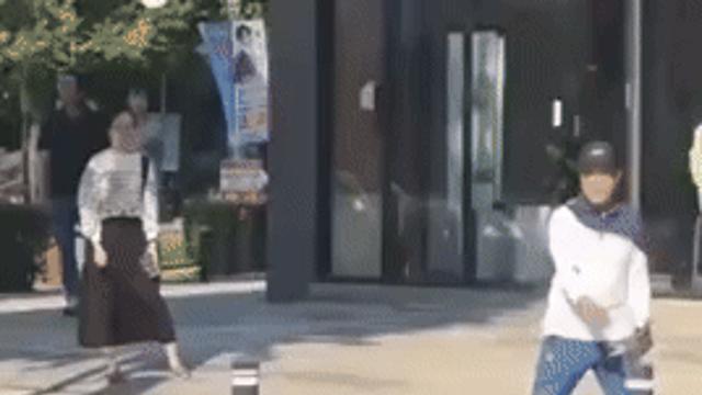 한국의 비둘기 드루이드