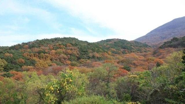빛고을 광주, 푸른 산과 맛있는 이야기가 어우러진 하루