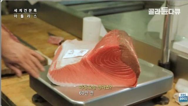 스시가 세계인의 입맛을 사로잡을 수 있었던 이유│일본 지역마다 맛과 먹는