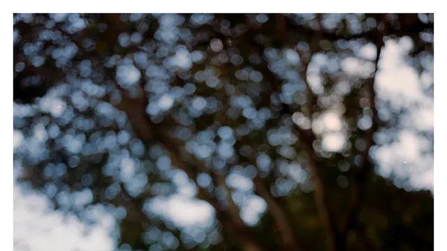 등산-사찰, 골드 200(1증감), 500cm