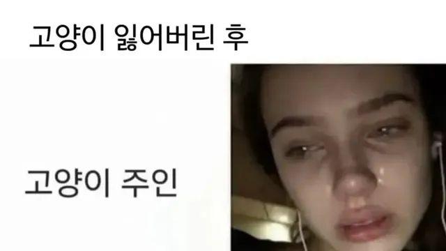 고양이 잃어버렸을 때.jpg,,