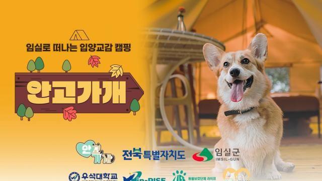 사람과 반려동물, 그리고 유기동물이 함께 머무는 특별한 1박 2일 - 입양교감캠핑 '안고가개'