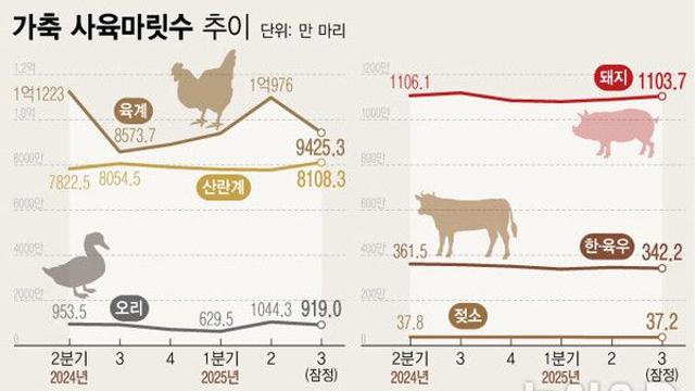 복날 특수에 삼계도축 전분기比 47%↑…소·돼지 사육 감소