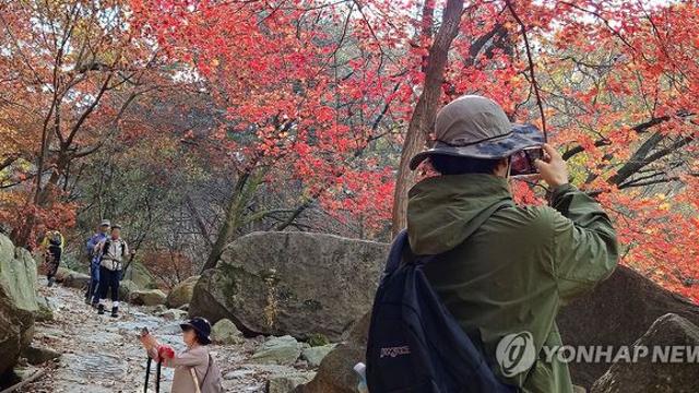 단풍철 명산 인근 상권 매출 26％↑…내장산은 3배로