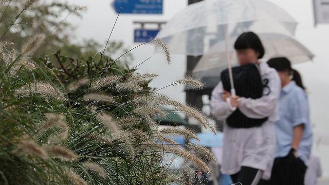 대전·세종·충남 흐리고 빗방울…낮 최고 16∼18도