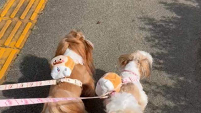 둘이 나란히????