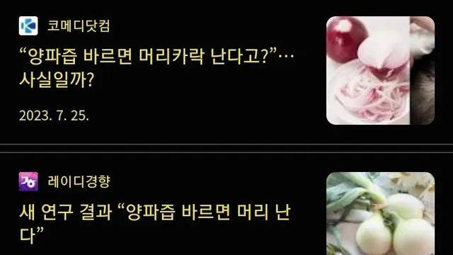 어지간한 탈모약은 바른다는 양파즙