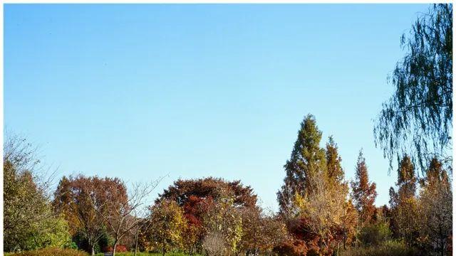 [아름다운가을사진] 고수 분들 오기 전에 빠르게 참가!