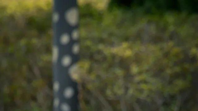 그냥 날씨가 좋으면 찍을게 있든 없든 카메라 들고 나가고 싶은게