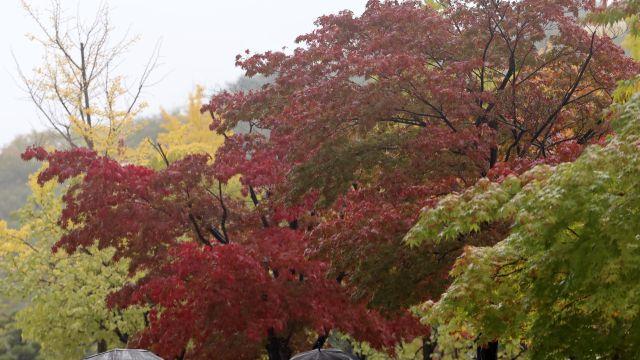 공감을 잃어버린 세대, 한국 청년학생의 극우화 현상에 대한 반성문