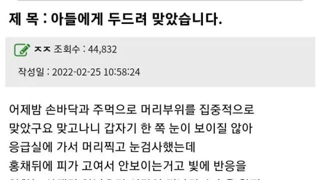 아들에게 두드려 맞은 엄마.jpg,,