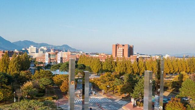 '이공계의 봄' 다시 올까…4대 과기원 수시 지원자 수 5년 만에 '최고'