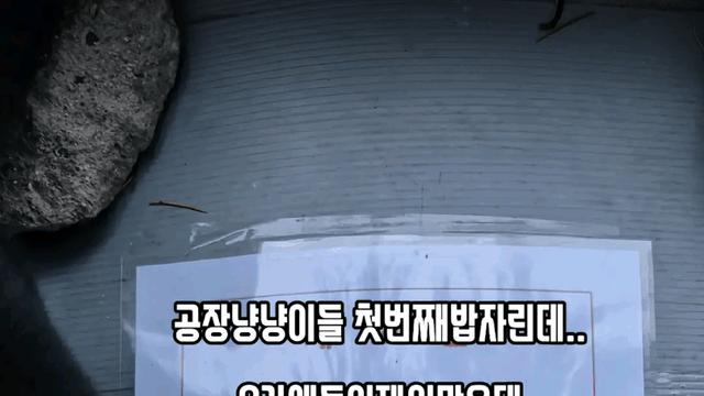 부산 공무원에게 분노한 여성